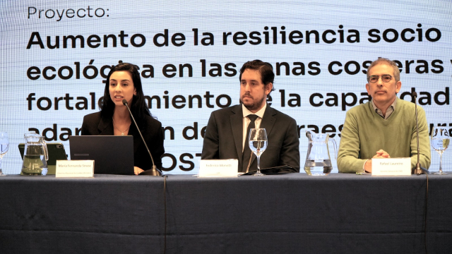 Proyecto REACC COSTAS